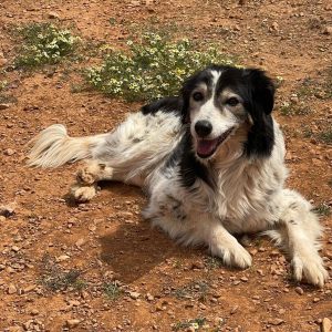 278352781_332386042318104_8243510562405102452_n