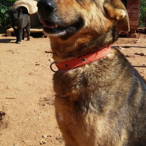 17349172_10213160445671417_367685585_o