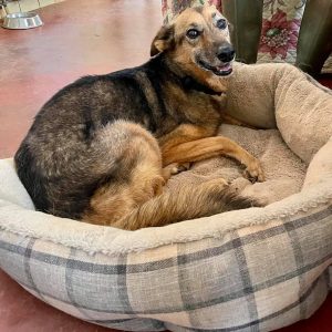 245508958_4781406785211156_1153026556289846626_n