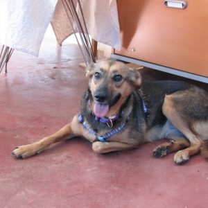 Misha getting ready for a different life (2)