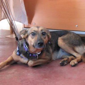 Misha getting ready for a different life (4)