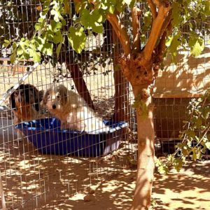 240921723_222251039859603_4126095553667363386_n