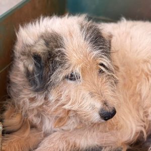 279144106_574007313845807_5886294048681324991_n