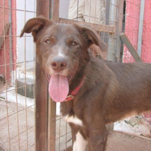 Τζέθρο – Jethro