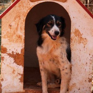 76801_171265119558702_171214316230449_492109_7603596_n