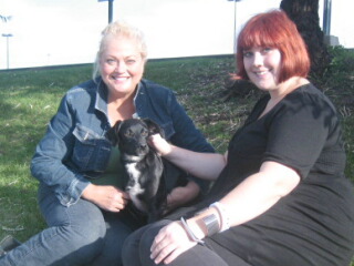 You are currently viewing 