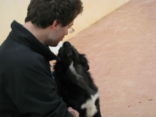 You are currently viewing 