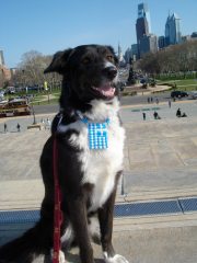 Read more about the article 