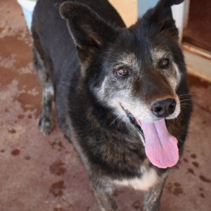 Χρήστος – Christos