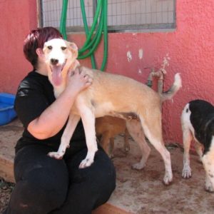 Φελίσια- Felicia