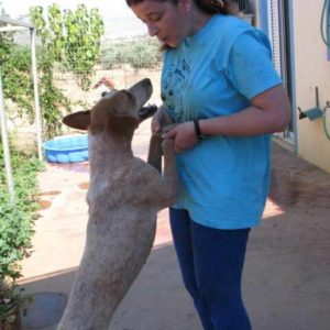 Δήμητρα – Dimitra