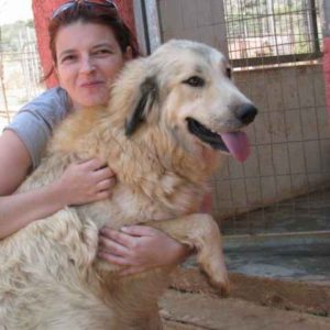 Γουάντα – Wanda