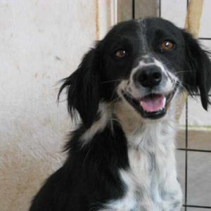 Εσκάντα – Escada