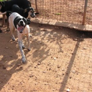 Ειλήν – Eileen