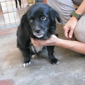 Ξανθίππη – Xanthippe