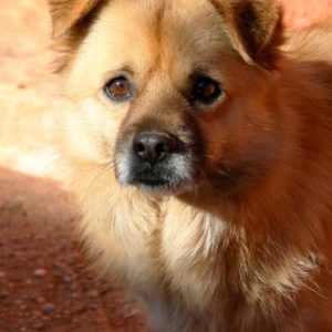 Σωκράτης – Socrates