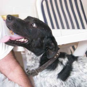 Νιούμαν – Newman