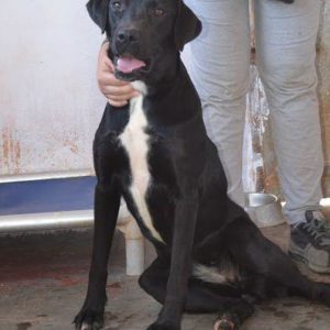 Mάουρα – Maura