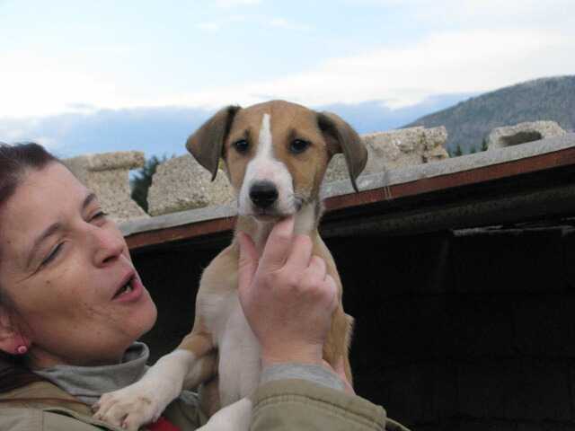 Read more about the article Moonstone