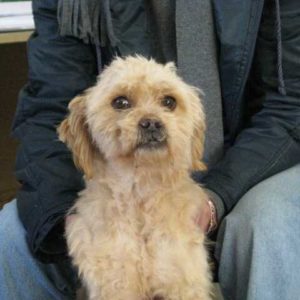 Tρέντυ –  Trendy