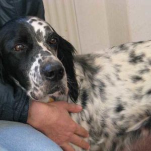 Κλαίρη – Claire