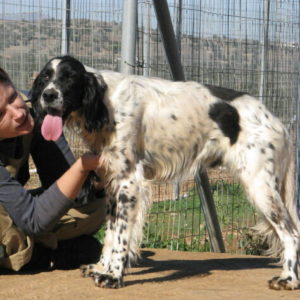 Γκάνταλφ – Gandalf