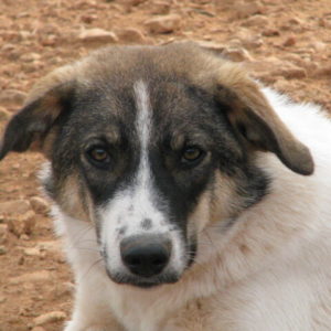 Ρόντα – Ronda