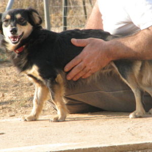 Κάριν – Carin