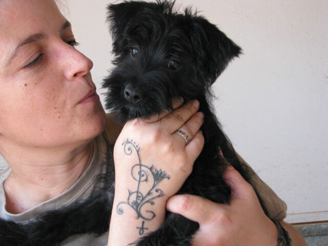 Read more about the article Φόγκ – Fogg