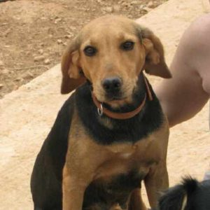 Γκούτσι – Gucci