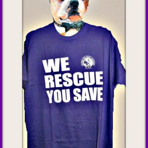 Mπλουζάκια, t-shirts KAZ