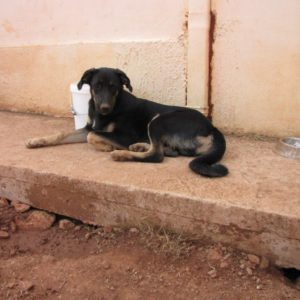 Τάΐτους – Titus