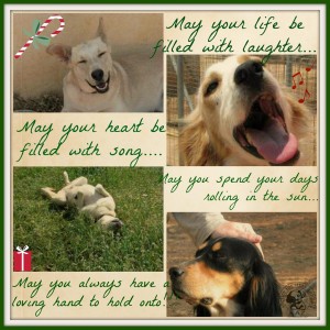 Ευχές – Wishes – Weihnachtswuensche