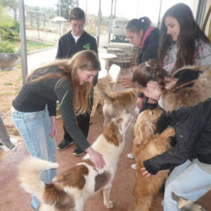 Επίσκεψη στο Καταφύγιο μας