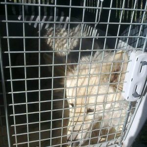 1525662_10151925770594422_1328330441_n