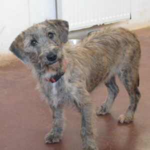 Κέντρα – Kentra