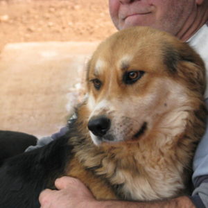 Tάυρον – Tyron