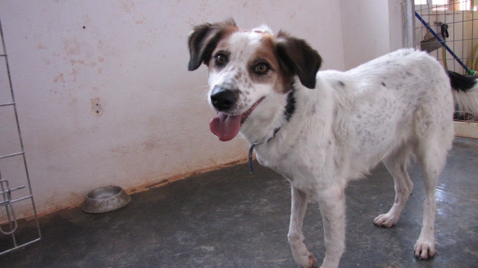 Read more about the article Φάνυ – Funny