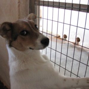 Αζούρα – Azoura