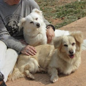 Μόνα & Βιολέτα – Mona & Violeta