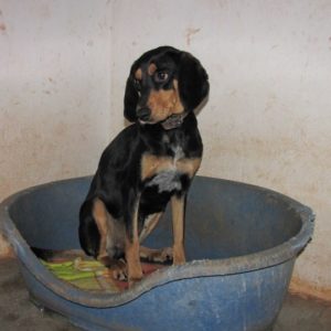 ♡ ♥ ♬Γιασμίν