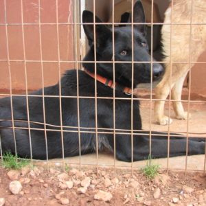 Ιμάν η όμορφη ♥ – Iman