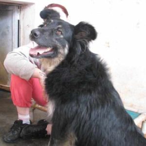 Πέννυ – Penny