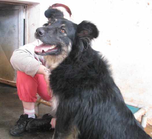 Read more about the article Πέννυ – Penny