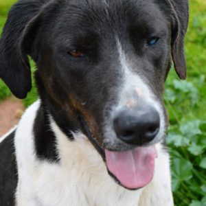 Πλούτο – Pluto, Πότε μη κλείνεις τα μάτια…