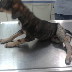 20140915_112225_resized