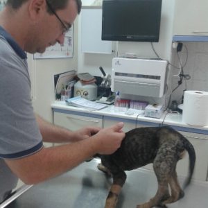 20140915_112241_resized