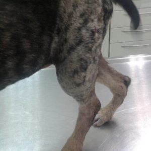 20140915_112310_resized