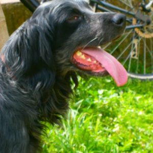 Ζαν Κλώντ – Jean Claude