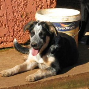 Mιράζ – Mirage